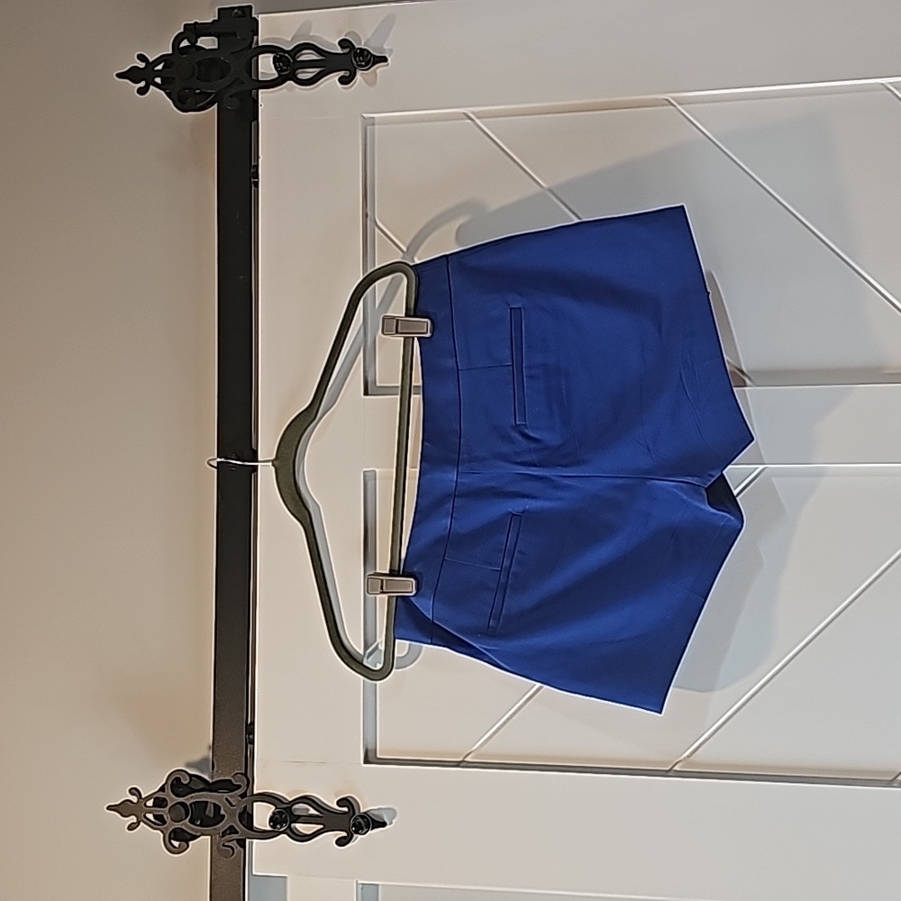 EXPRESS Size 6 Royal Blue Short